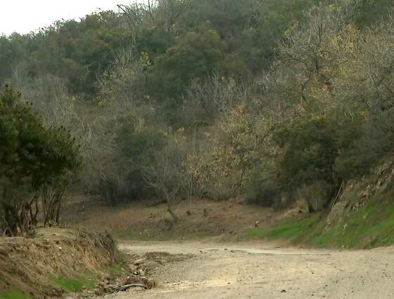 Police seek suspect in alleged sexual assault of hiker in Santa Monica Mountains